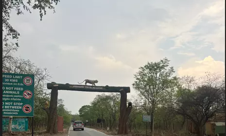Elevated Corridor Over Amrabad Tiger Reserve