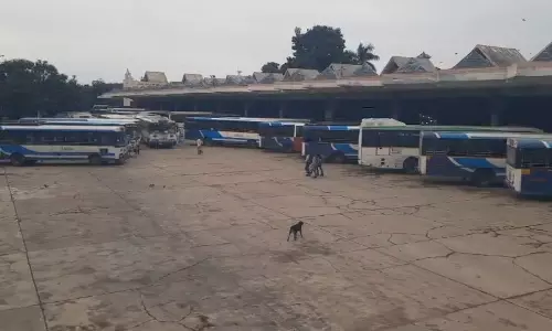 Bus Services Resume at MGBS After Flood Disruption