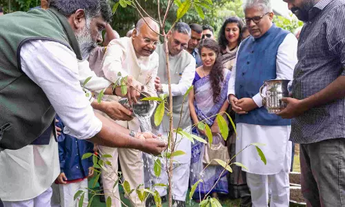 One Millionth Tree Planted at Heartfulness to Mark Daaji’s 70th Birthday