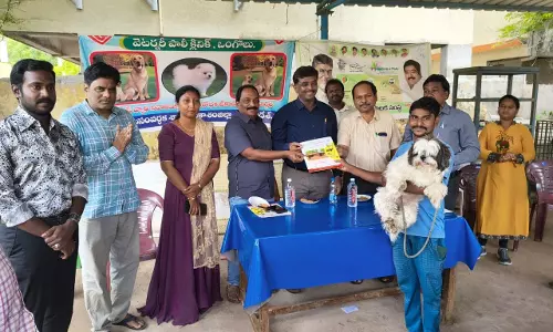 World Rabies Day Marked With Awareness Drives In Tirupati, Ongole