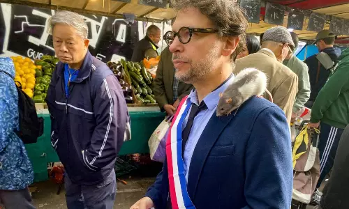 Paris Rats Gain Unlikely Political Ally in City Hall