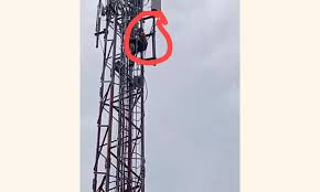 Man Dies After Falling From Electricity Tower