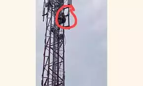 Man Climbs Electricity Tower, Falls To Death