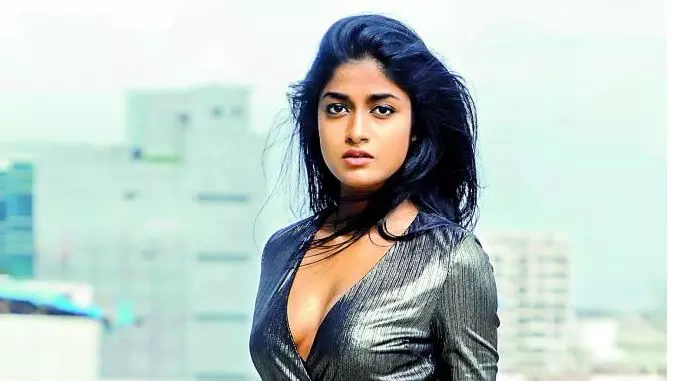 Case Booked against Telugu Film Actress Dimple Hayathi, Husband for Abusing Maid