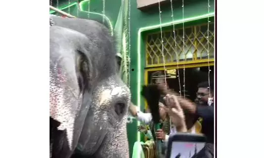 Dasara Jumbos Connection With an Ancient Dargah in Mysuru