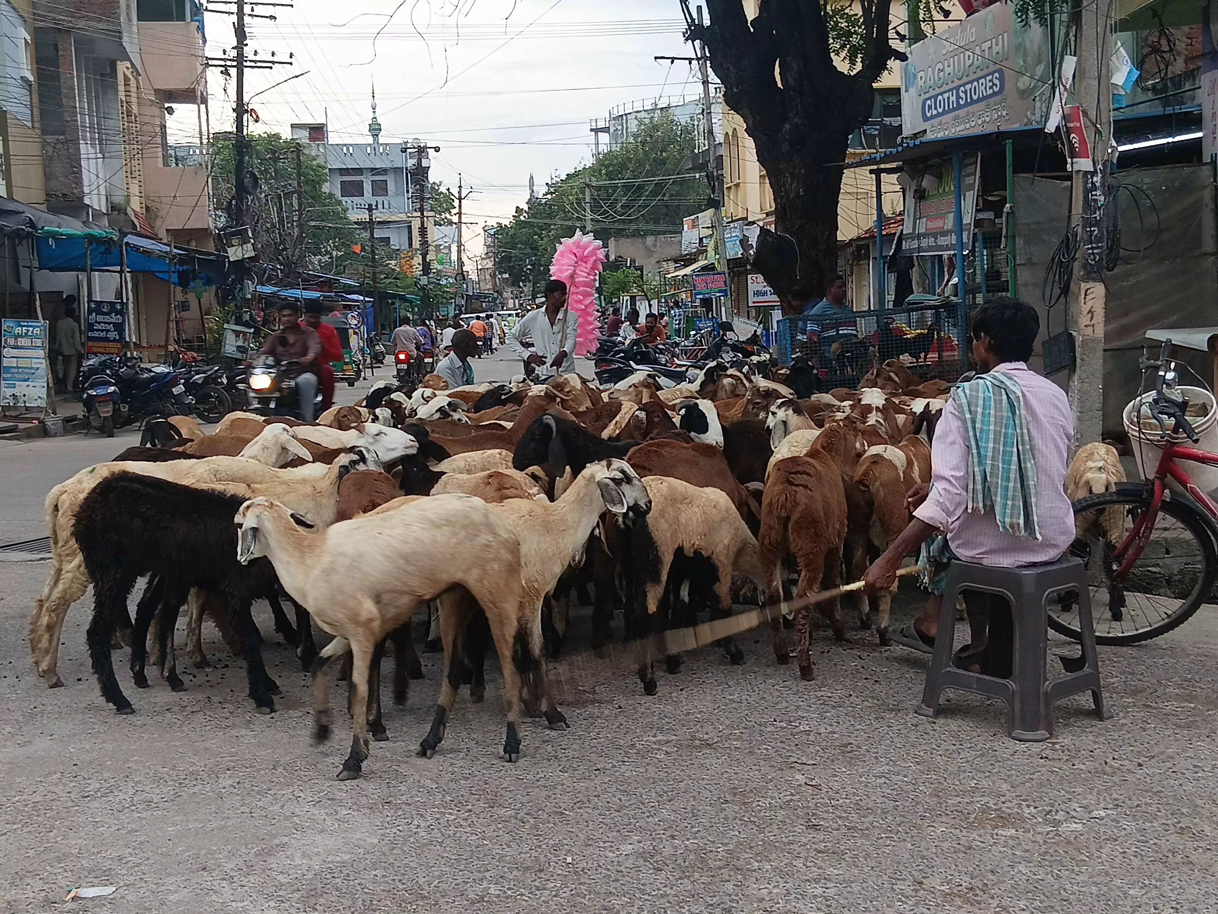 Mutton at Rs 1,200 per Kg, Liquor Costly as Dasara, Gandhi Jayanti Coincide