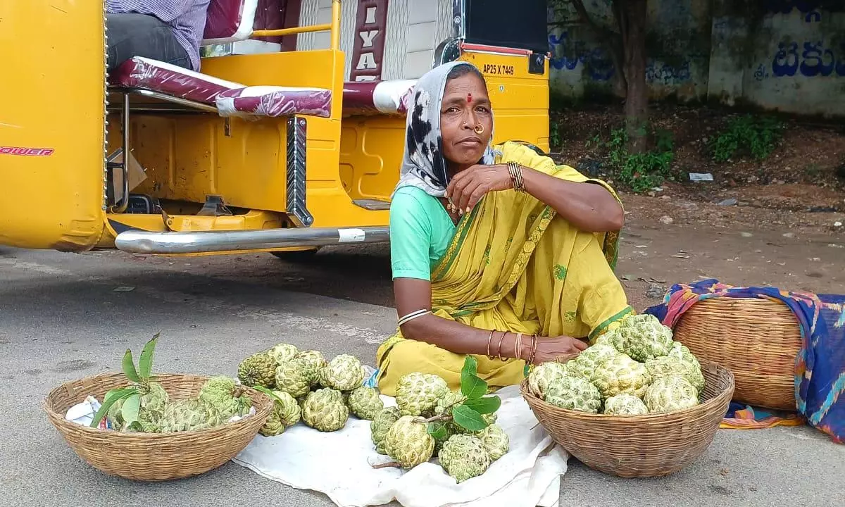 Adivasi Women Line Highways With Custard Apples