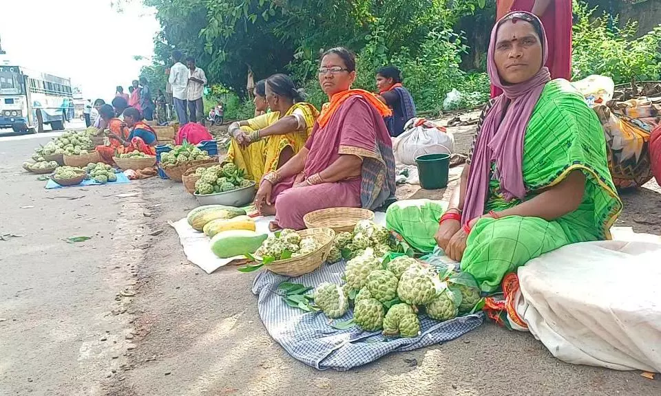 Adivasi Women Line Highways With Custard Apples