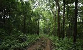 Van Vihar National Park Declares No-Vehicle Zone for Green Tourism