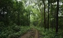 MP’s National Park Enforces Green Tourism, No Vehicle Zone Area Declared