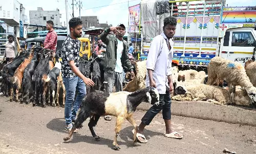 Double Festival Spikes Liquor, Meat Sales