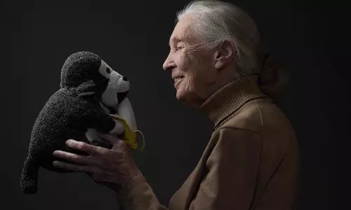 Jane Goodall, Renowned Conservationist And Animal Rights Campaigner, Dies at 91