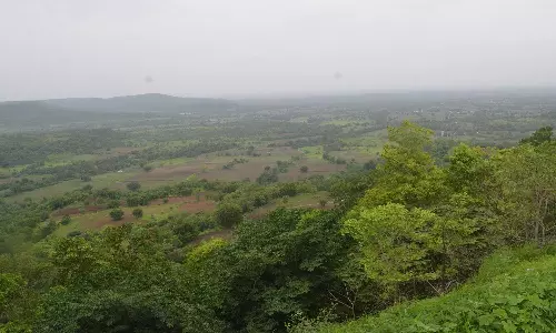 Forest Department Plans Paragliding at Khandala Valley