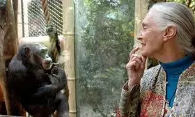 DC Edit | Goodall Explained Nature To World