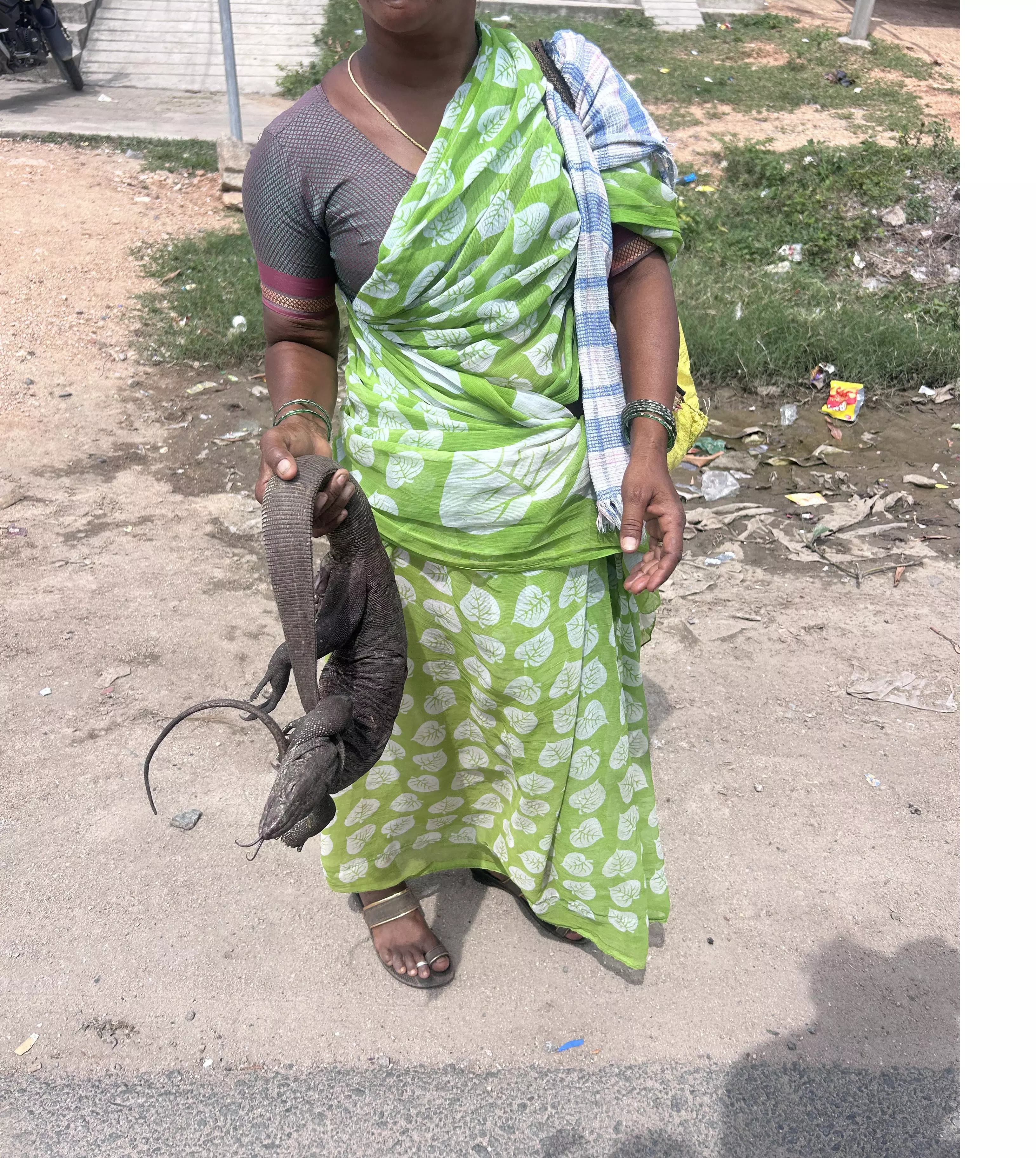 Illegal Hunting, Sale Of Protected Wildlife Rampant In Nalgonda