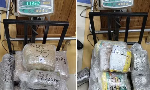 CISF Seizes 21 Kg of Suspected Cannabis at Imphal Airport CISF Seizes 21 Kg of Suspected Cannabis at Imphal Airport