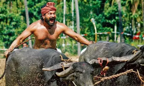 I Want Even Layman to Understand My Film, Says Rishab Shetty I Want Even Layman to Understand My Film, Says Rishab Shetty