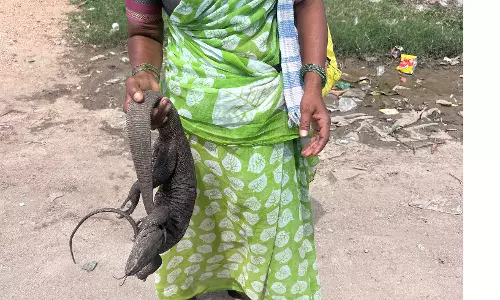 Illegal Hunting, Sale Of Protected Wildlife Rampant In Nalgonda