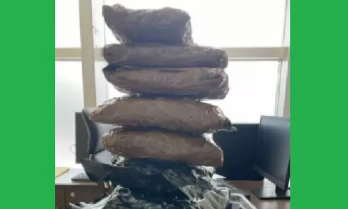 Marijuana Worth Rs 3 Crore Seized At Bhubaneswar Airport; Kerala Youth Arrested