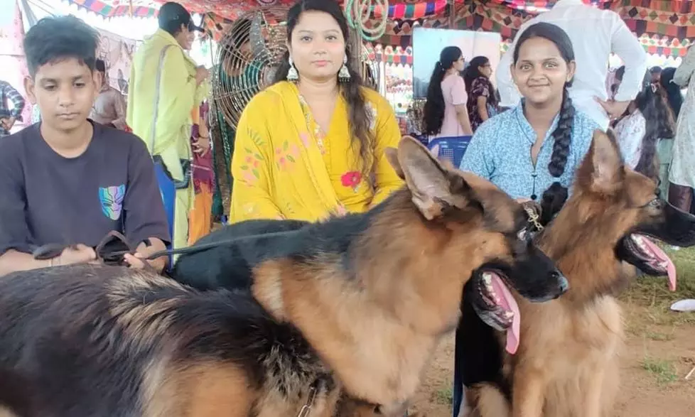 Pet Show Adds Charm to Vizianagaram Sirimanu Utsavam Pet Show Adds Charm to Vizianagaram Sirimanu Utsavam