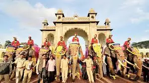 Dasara Jumbos Bid Adieu To Mysuru After Two-Months Stay, Jumbos Foot Pads Excellent