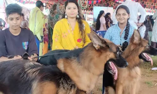 Pet Show Adds Charm to Vizianagaram Sirimanu Utsavam