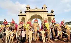 Dasara Jumbos Bid Adieu To Mysuru After Two-Months Stay, Jumbos Foot Pads Excellent