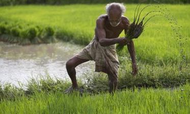 Regional Networking Meets to Boost Natural Farming Markets in AP