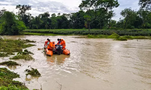 Darjeeling Landslides Kill 23, Hundreds Stranded
