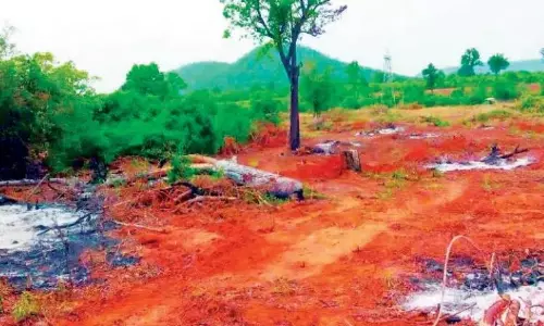 Podu Pattas for 2.14 Lakh Acres Under Scrutiny Podu Pattas for 2.14 Lakh Acres Under Scrutiny