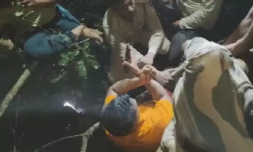 Odisha Police Officer Killed While Rescuing Tourists From Wild Boar Attack