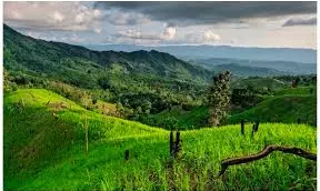 Jayanta Roy Chowdhury | Chittagong Hills Burning, As B’desh Frontier Crisis Builds