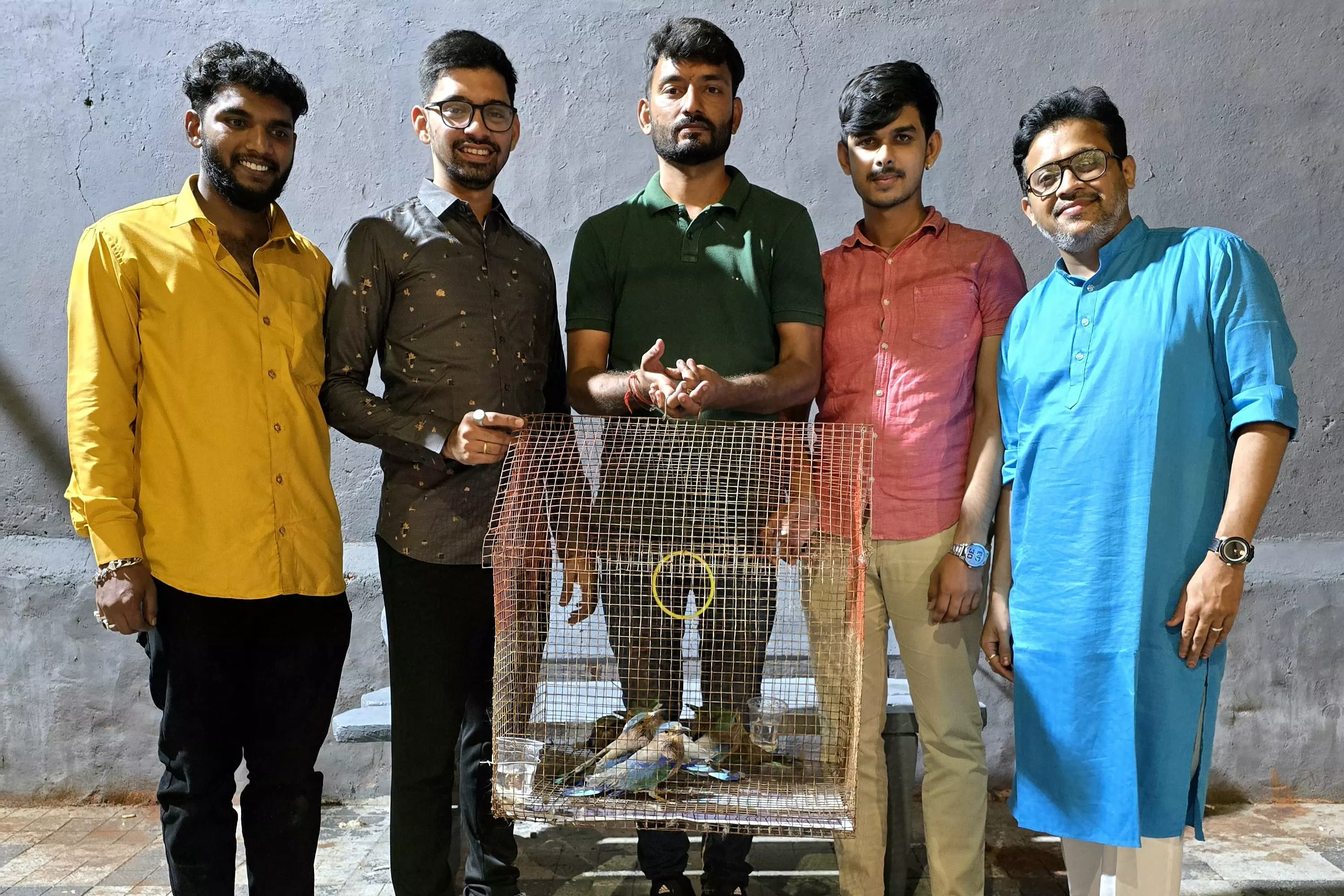 Four Indian Rollers Die Despite Rescue During Dasara