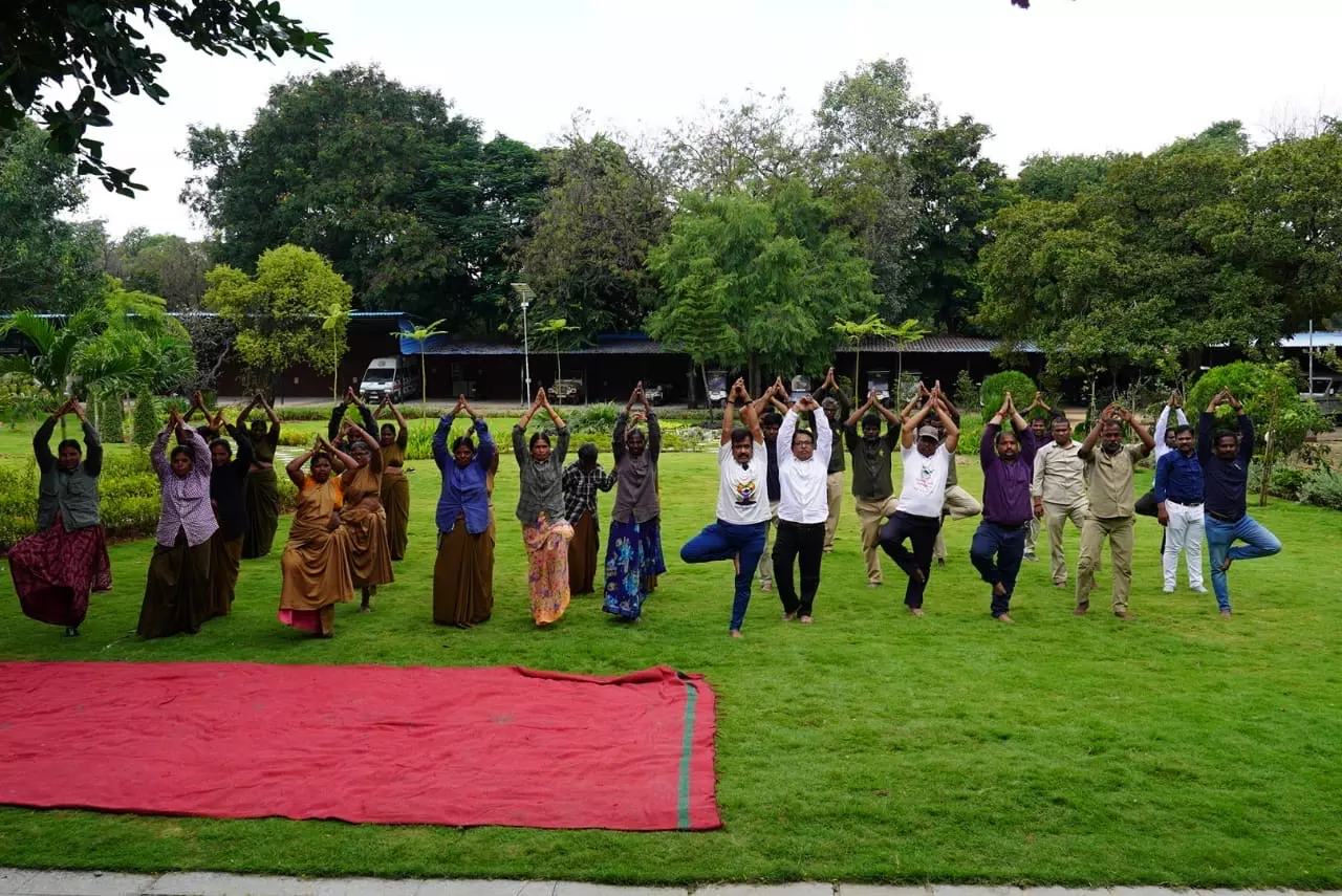 Zoo Staff Unwind With Themed Yoga