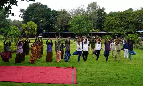 Zoo Staff Unwind With Themed Yoga