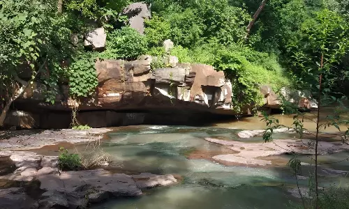 Controversy Over Tickets For Darshan Of Ishtakameshwari Temple In Deep Jungle