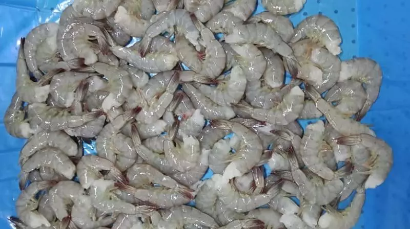 Shrimp Exporters Seek Central Aid Similar To Covid-19 Support