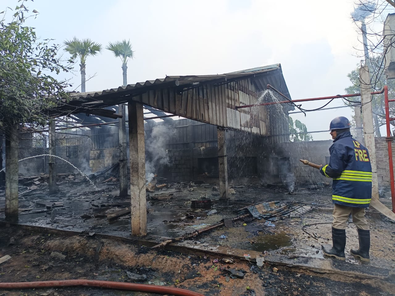 Deccan Chronicle - Entertainment - News Image