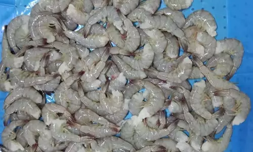 Shrimp Exporters Seek Central Aid Similar To Covid-19 Support