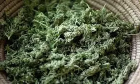 20 Kg Ganja Seized In Abdullapurmet