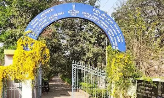 3 Cough Syrups Recalled, Ordered to Stop Production, None of Them Were Exported: CDSCO Tells WHO