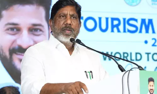 Bhatti Discusses German Solar Collaboration