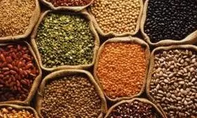 Centre Targets 40% Rise In Pulses Output By 2030