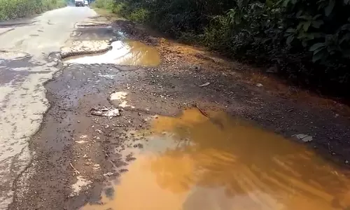Potholed Highway near Ardham in Manyam Posing Risk to Commuters