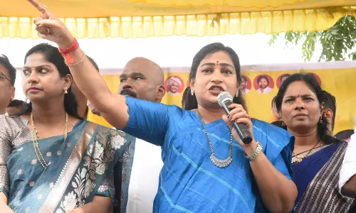 Statue Row: Anitha Praises Cops’ Quick Action, Slams Oppn For Politiking