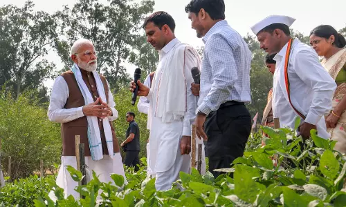 Modi Urges Farmers to Boost Pulse Production
