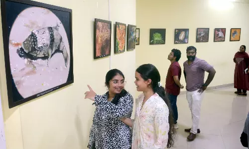 Visakhapatnam’s Marine Life Comes Alive in Oil on Canvas