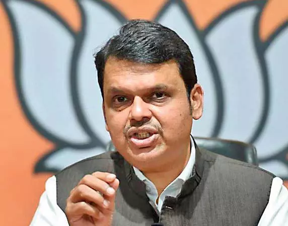 Maharashtra Cabinet Approves Bamboo Policy 2025 Maharashtra Cabinet Approves Bamboo Policy 2025