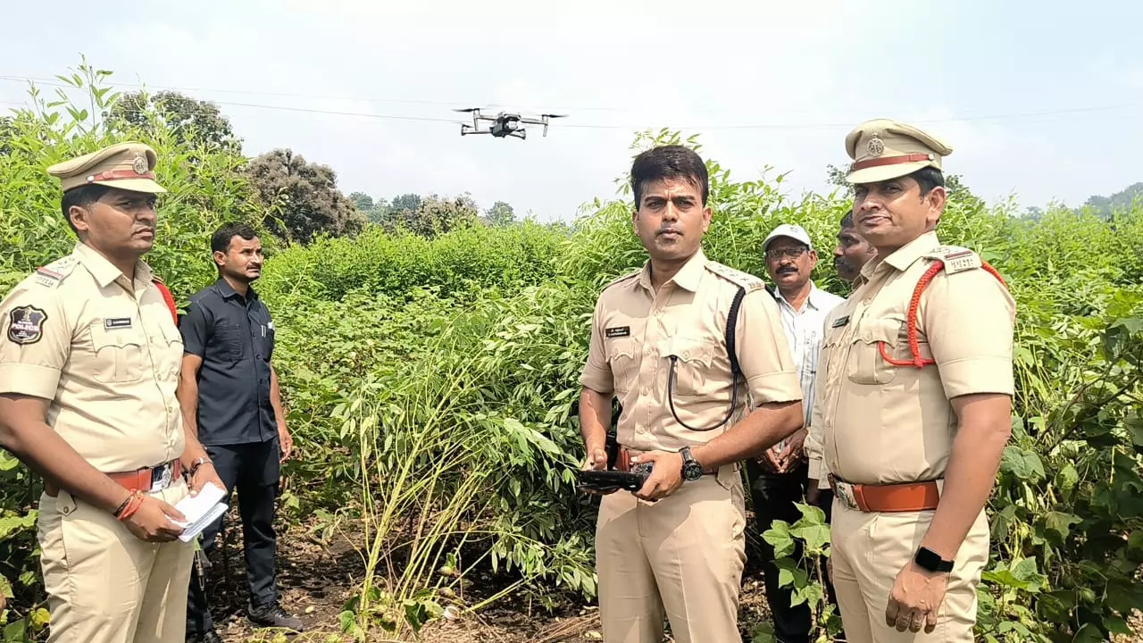 Police Deploy Drones For Ganja Hunt