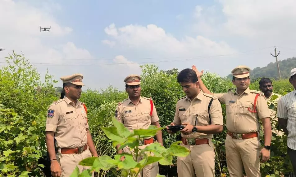Police Deploy Drones For Ganja Hunt